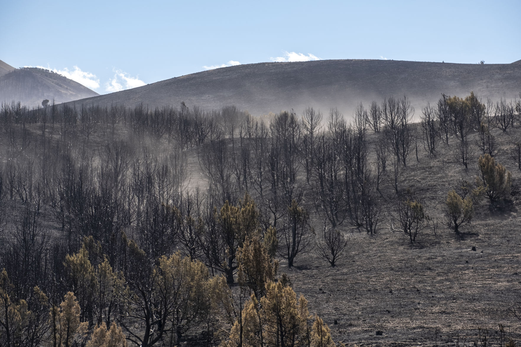 Badger Fire damage in Trapper Creek